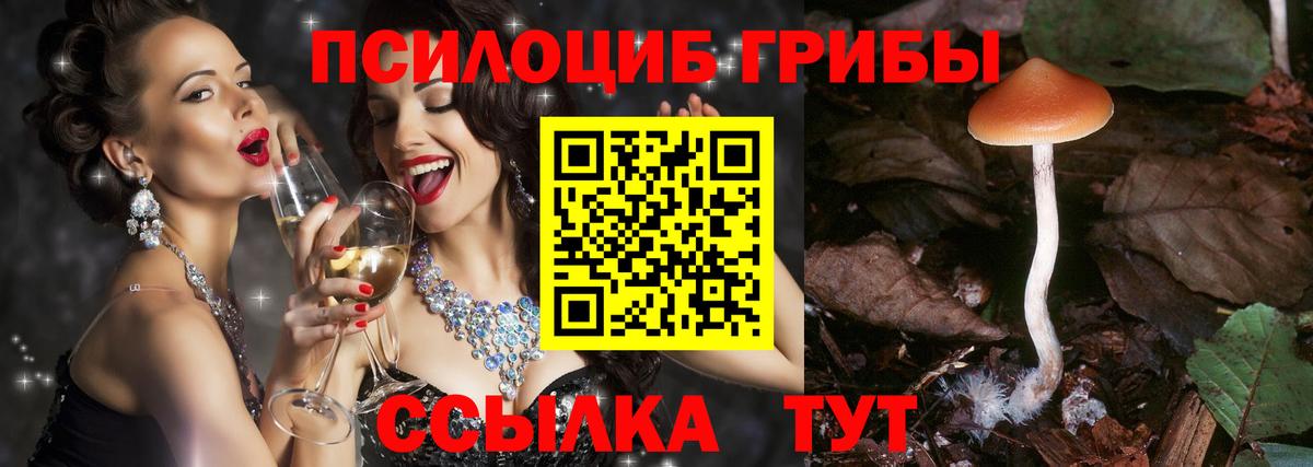 Галлюциногенные грибы Psilocybe  Вход с VPN  Наро-Фоминск 